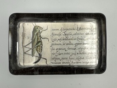 Glass Paperweight Hoefnagel Wart-Biter Grasshopper Mira Calligraphiae Monumenta