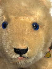 Vintage Steiff 8 x 6 Polar Bear w Blue Leathe...