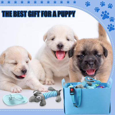 Puppy Checklist Shopping