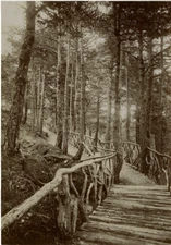 France Savoie Sentier Près De Thorens Vintage Print. Albumen Print 13x18 