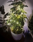 Foto 6 di 10
