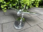 Bild 6 von 15