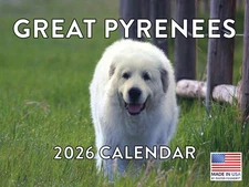 Great Pyrenees Calendar 2026 Monthly Wall Calender 12 Month 12x18