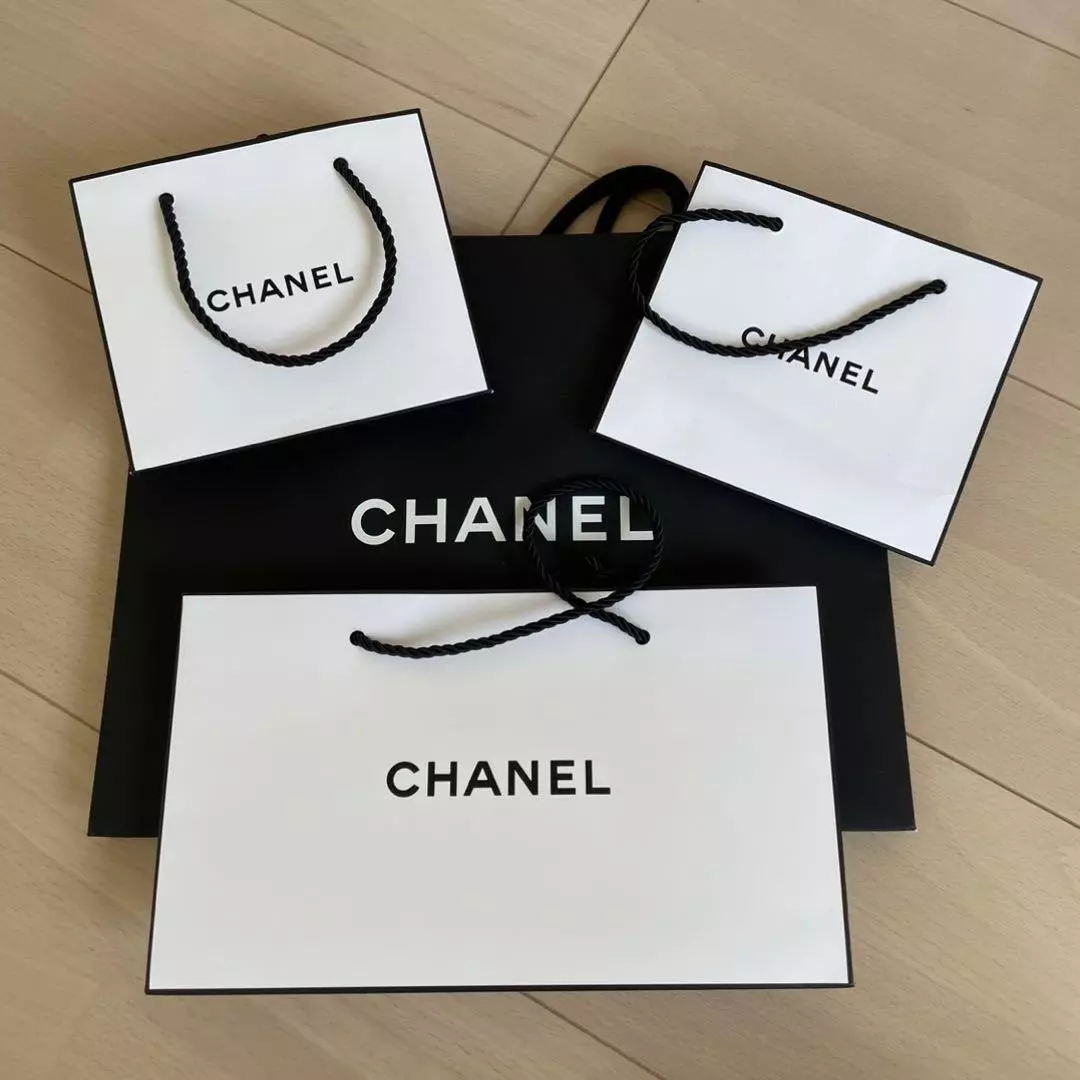 Designer Paper Bags (for Cheap) Hermes Chanel LV Louis Vuitton