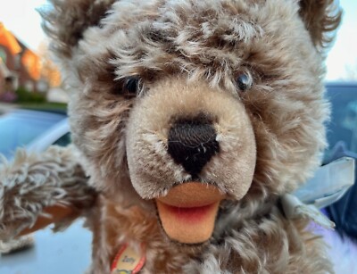 Vintage Steiff Original ZOTTY Bear Eulan Mottenecht Durch With Tag