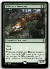 LP Wildborn Preserver #182 Throne of Eldraine ELD Magic MTG
