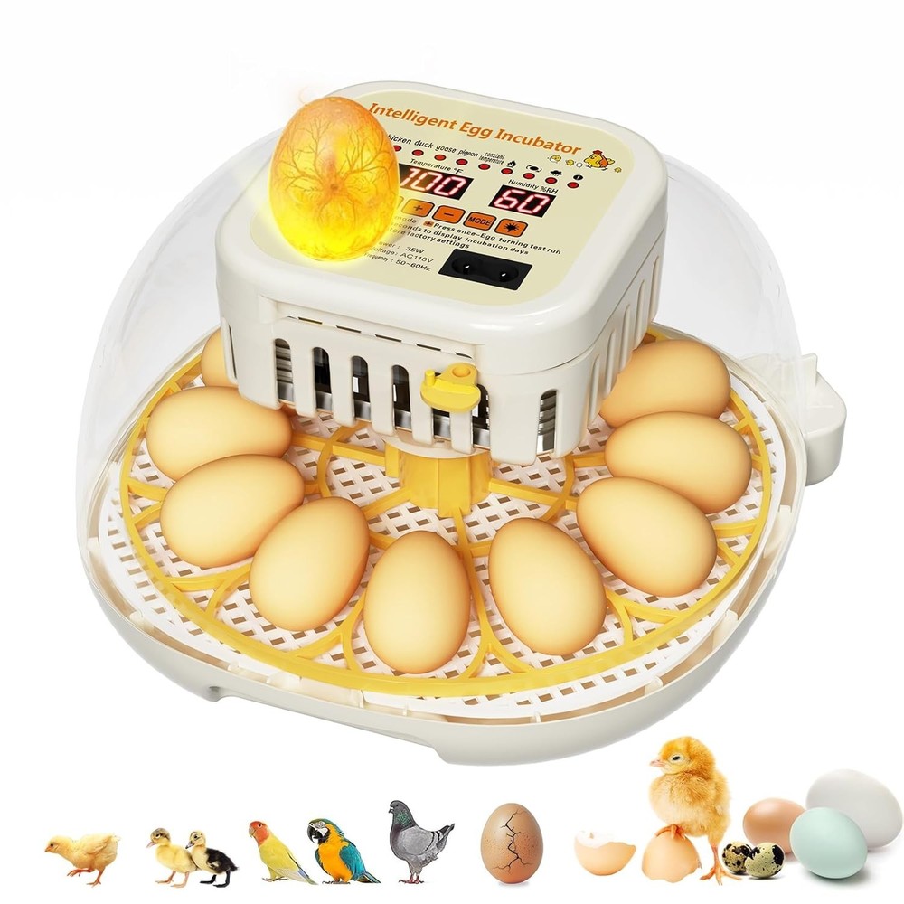 Egg Incubators for Hatching Eggs,12 Egg Incubator with Auto Egg Turning Humidity Egg Incubators for Hatching Eggs,12 Egg Incubator with Auto Egg Turning Humidity