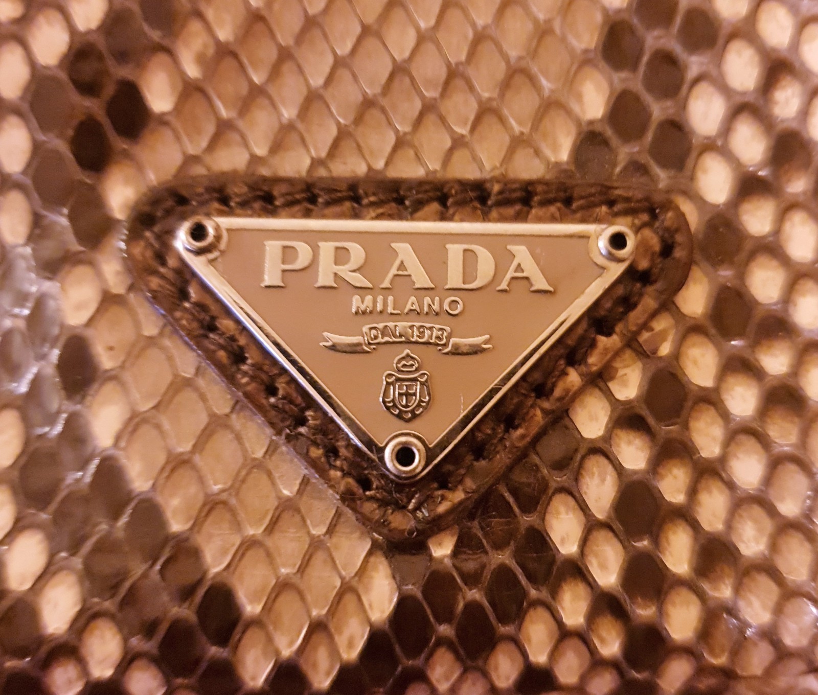 PRADA ~ RARE * crossbody / clutch / wrist real snakeskin bag ~ AUTHENTIC image 5