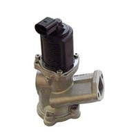 Magneti Marelli AGR Ventil 571822112002 FüR 500 Panda KA Fiat Ford Idea Musa RU8