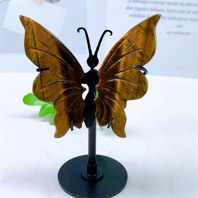 Tiger 2024 eye butterfly