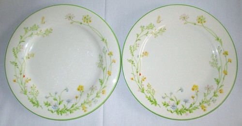 "Dos platos de postre Noritake Ivory China Reverie verde 7"" 7191" - Imagen 7 de 7