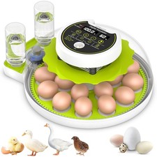 18 Eggs Incubator with Automatic Egg Turning and Humidity Control, Incubators