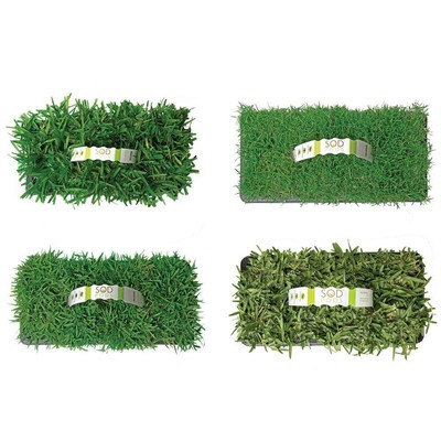 Multi Variety Grass Plug Pack (32-Count) Natural, Affordable Lawn Improvement