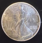 1994 American Eagle Toned Walking Liberty Bullion Vtg-0.999 Silver 1 Oz Coin 3m