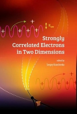 Strongly Correlated Electrons in Two Dimensions by Sergey Kravchenko (English) H