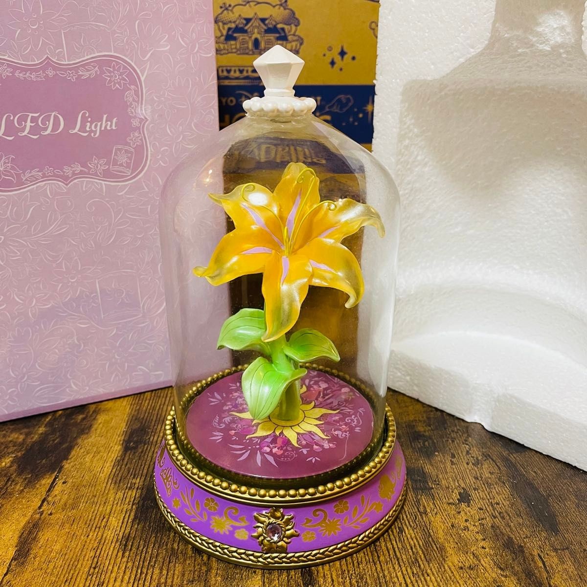 Tangled Rapunzel Magic Flower LED Light Up 10th Anniversary Disney