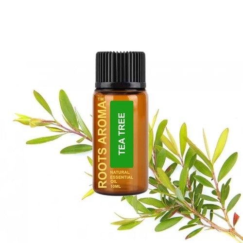 10ml Pure Essential Oil - Organic & Natural - Aromatherapy Fragrance - Picture 17 of 94