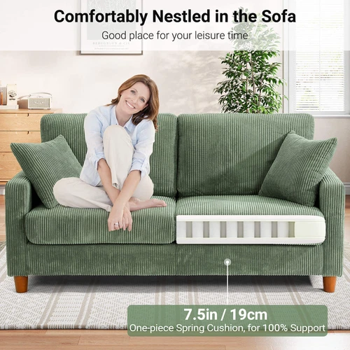2 / 3 Seater Teddy Velvet Sofa with 2 boutiques Pillows Couch Love Seat Settee Green Gray