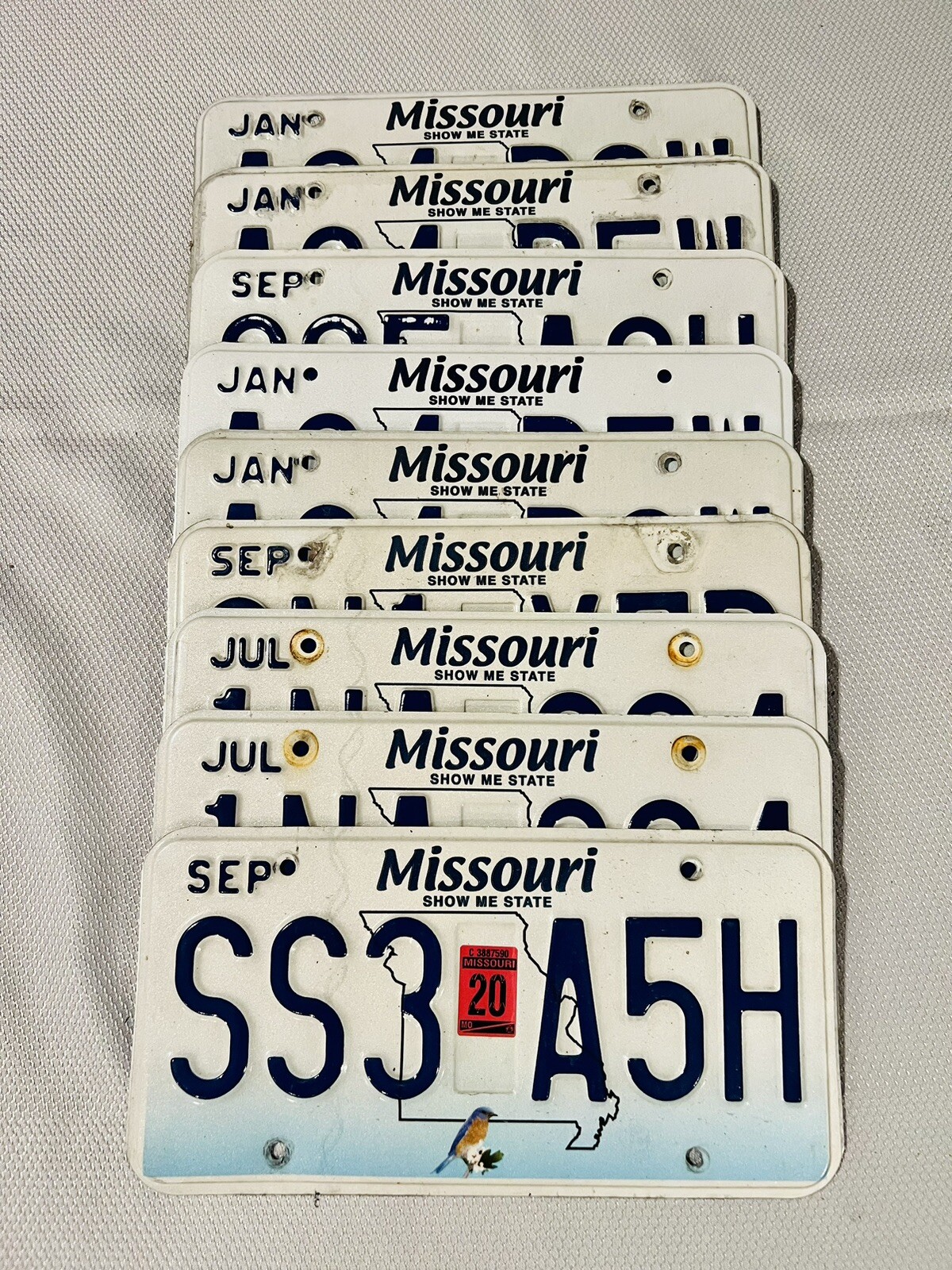 Picture 1 of 1