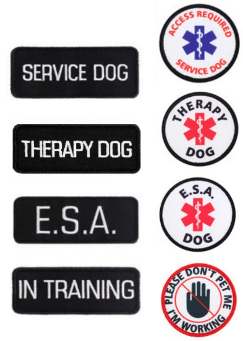 Service Dog - Support Dog - Therapy Dog Vest Harness ID Pocket ALL ACCESS CANINE - Image 2 of 4