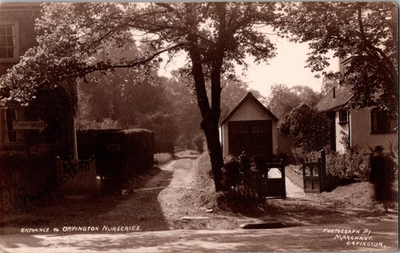 #ad Antique Orpington Nurseries Kent RPPC Photograph Marchant Westhill Rises c1910s $77.72