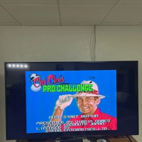 Chi Chi's Pro Challenge Golf Sega Genesis 1993 CIB Tested