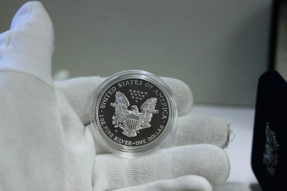 Lingotes de prueba de $1 dólar American Silver Eagle 2001 W 1 oz caja original/certificado de autenticidad Foto 3 de 4