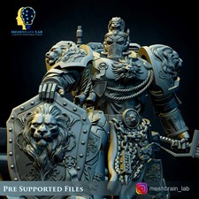 3D Printed Imperial Marine Master of the Order of the Lion by Meshbrain Labs