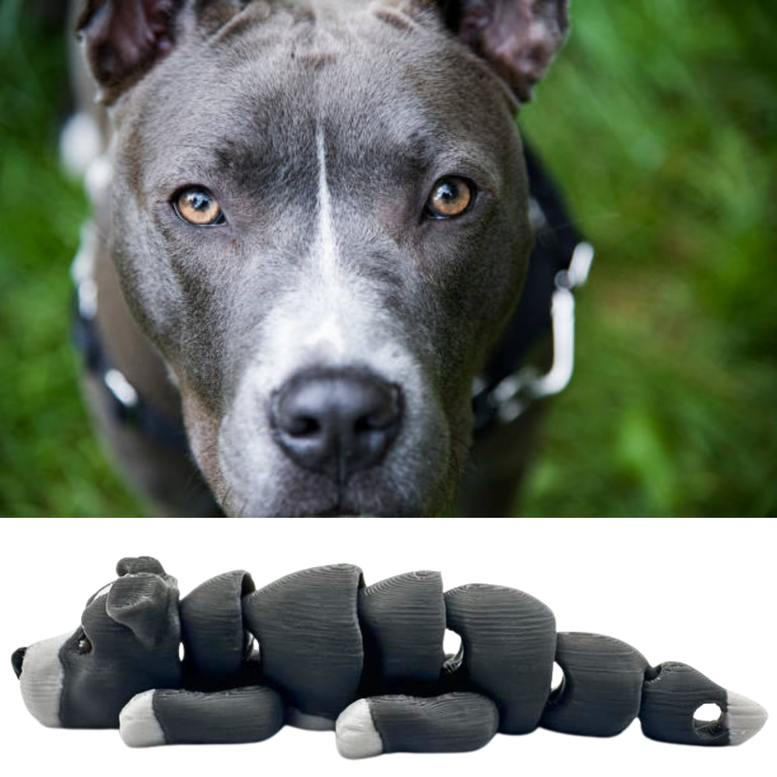 Pitbull Dog Keychain - Dual Color Articulated 3D Printed Keychain