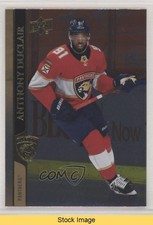 2020-21 Upper Deck Extended Series Silver Foil Anthony Duclair #556 READ x9h