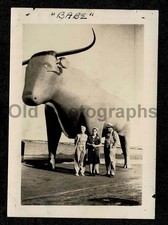 BABE BLUE OX STATUE ROADSIDE ATTRACTION MN WOMEN TOURISTS OLD/VINTAGE PHOTO-F768
