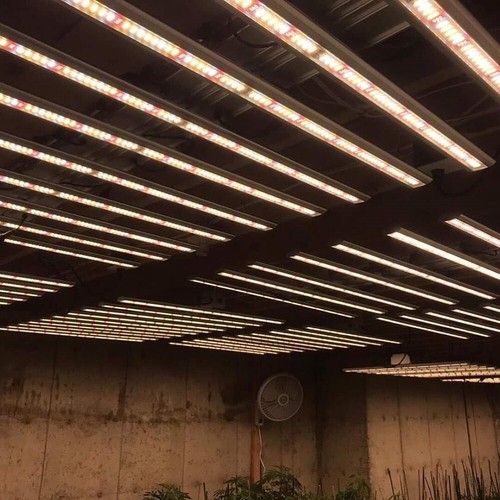 800W Spider LED Grow Light Full Spectrum Commercial for Indoor Hydroponics CO2 - Picture 12 of 12