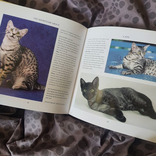 Lot Of 3 Cat Books CATS OF THE WORLD By Eugenia Natoli Sommerville Bessant - Bild 6 von 19