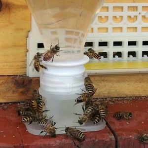 Plastic Bee Feeder Water Drinking Fountain Jar Beekeeper