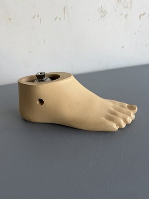 OTTOBOCK Otto Bock Right Prosthetic Foot.  Size 25cm