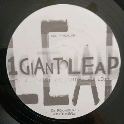 1 Giant Leap - Not All Those Who Wander Are Lost..., 12'', (Vinyl)