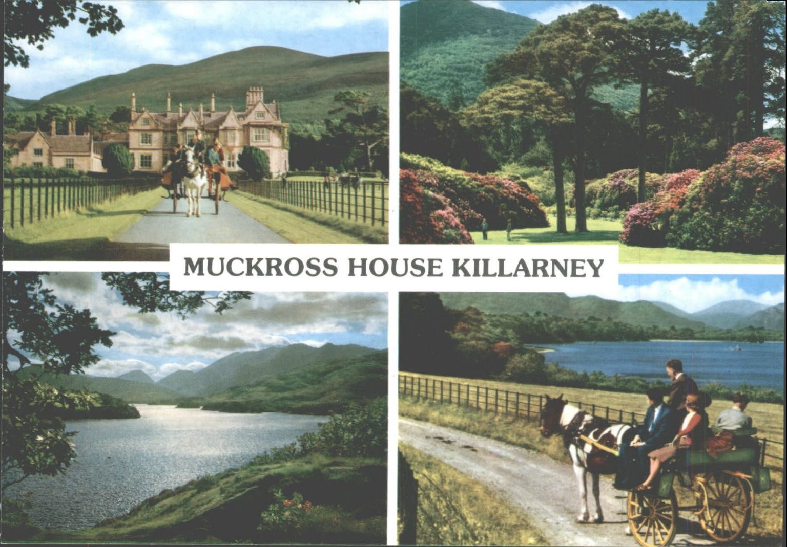 Muckross House Killarney Ireland John Hinde Postcard Lake District National Park