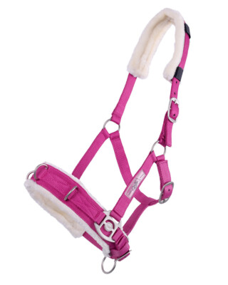 QHP lunge  cavesson Fuchsia Pink QHP