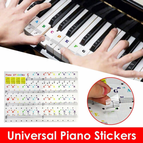 Universal Plastic Piano Music Keyboard Sticker 37/49/61/88 Key Note Removable - Photo 1 sur 12