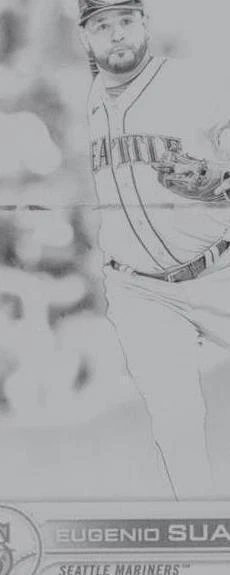 Printing Plate Black