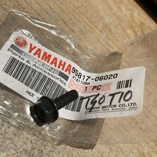 Yamaha 95817-06020 Screw TDM900 DT125E DT125R FJR1300 FZR1000 FZR600R Etc
