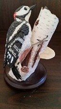 Vintage The Country Bird Collection The Great Spotted Woodpecker