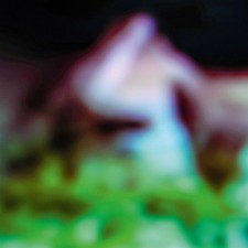 Hair & Treasure: Disc Rot (LP)