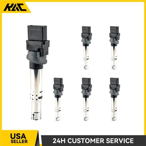 Pack of 6 Ignition Coils For Volkswagen Passat CC Touareg Atlas & Audi Q7 3.6L