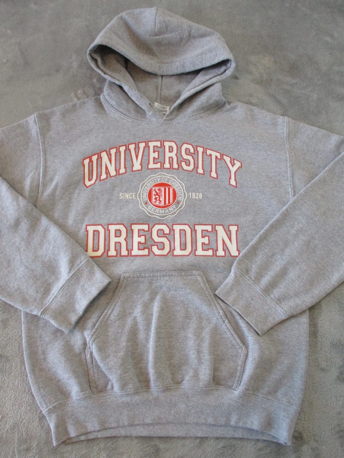 Vintage University Of Dresden Hoodie Mens Small Gray Red Germany Sweatshirt
