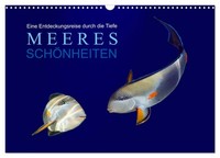 "Calendar 2027 · US Version · Sea Beauties (Wall Calendar 2027 17\" × 12\" Landscap"