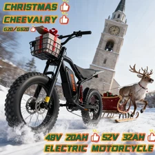 Electric Dirt Bike 20" Fat E-Bike 3000W 48V 20Ah All Terrain E-Motorcycle 65km/h