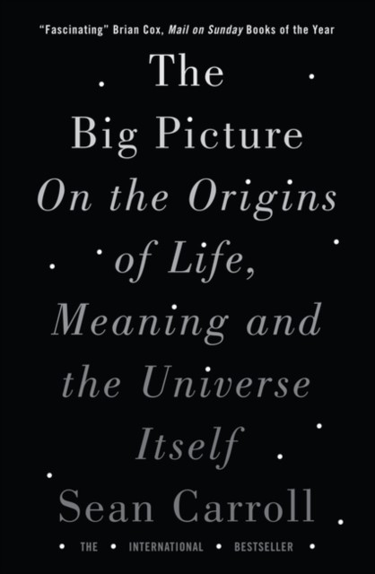 The Big Picture by Sean Carroll (Paperback Book)