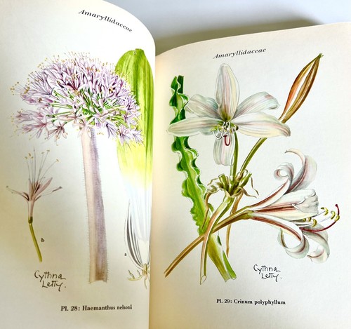 RARE SIGNED Wild Flowers of the Transvaal Cythna Letty 1962 1st Printing HCDJ - Picture 21 of 22