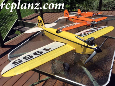 R/C AIRPLANE PLANS & PATTERNS: Wasp 1300 51'' Wingspan - Aerobatic RC Model